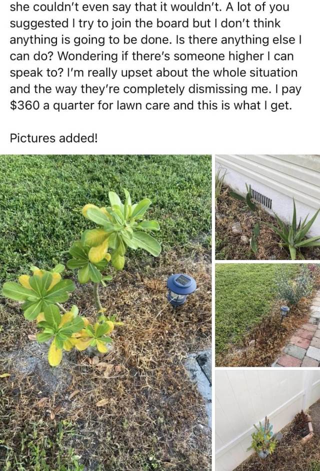 "There goes like $500."