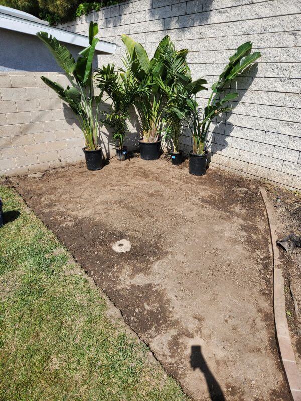 When planting vegetation outside, don't ignore proper placement and spacing.