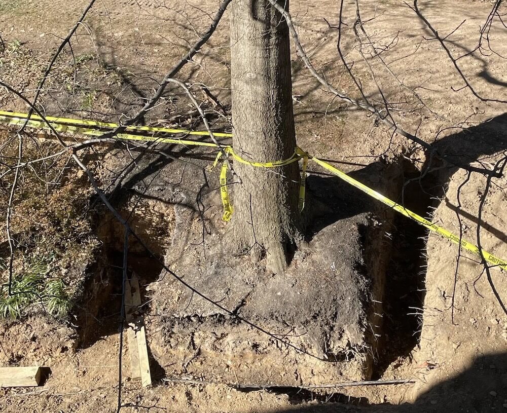 "If that was my property, I'd probably take legal action."