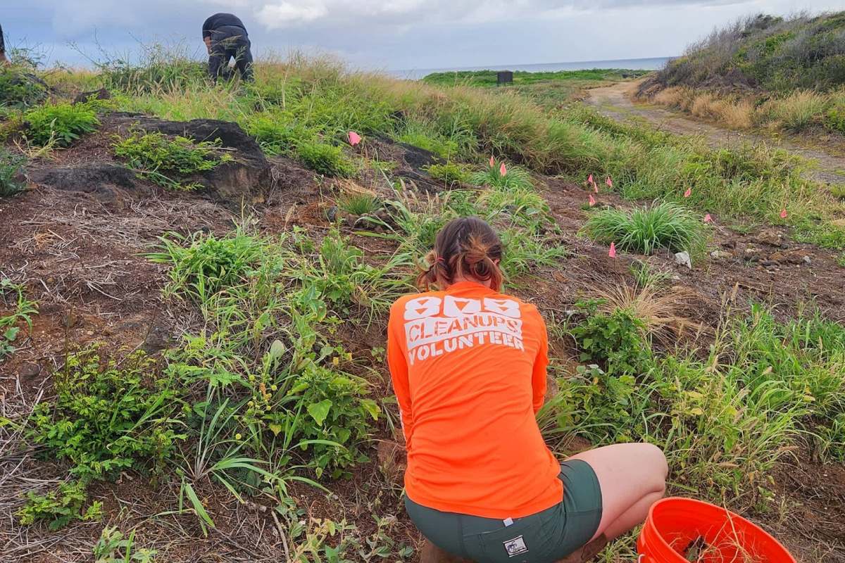 "Big shoutout to everyone who’s been helping keep our islands clean and beautiful!"