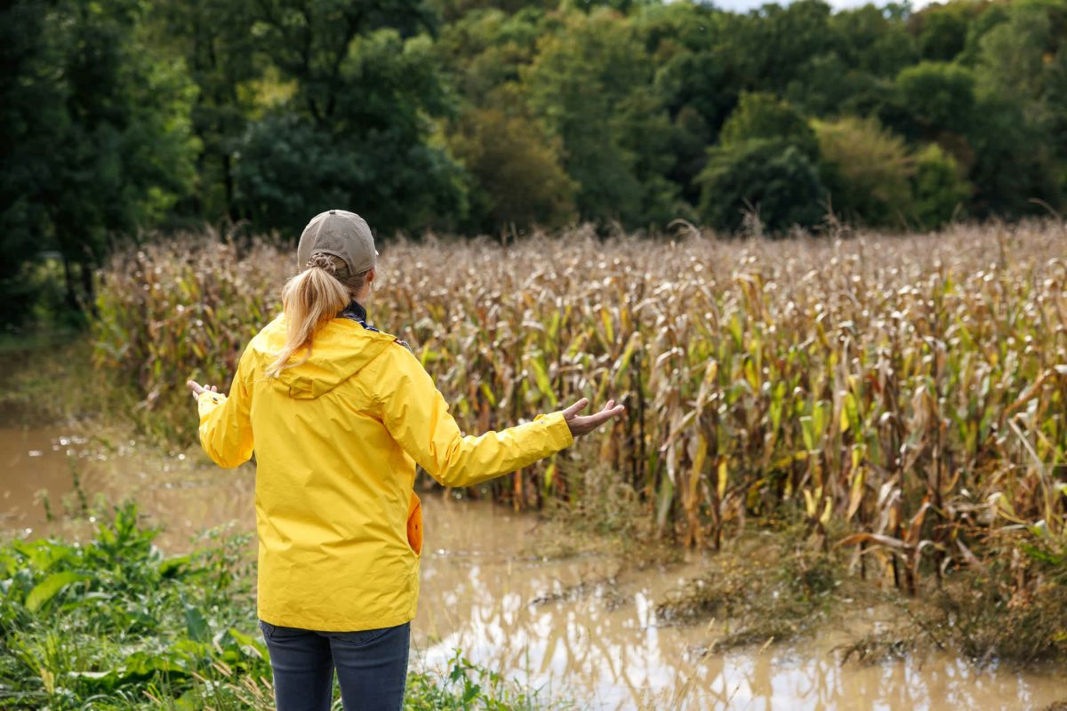 These events are affecting America's agricultural supply chain.