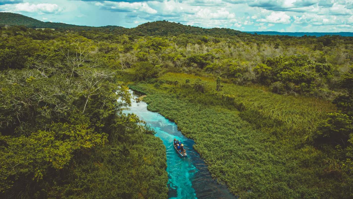 "The new legislation could cause an increase in deforestation estimated at 5.2 million hectares."