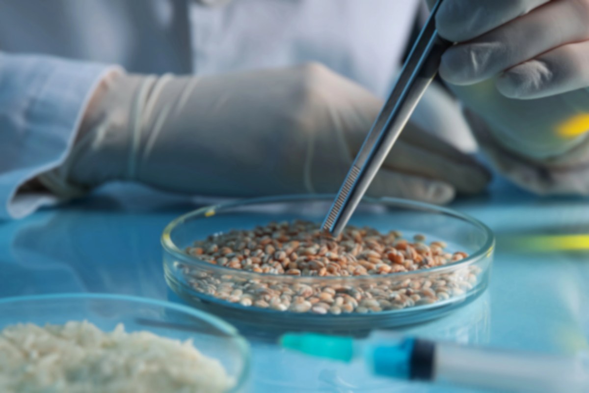 This breakthrough joins other cutting-edge developments in sustainable food innovation.