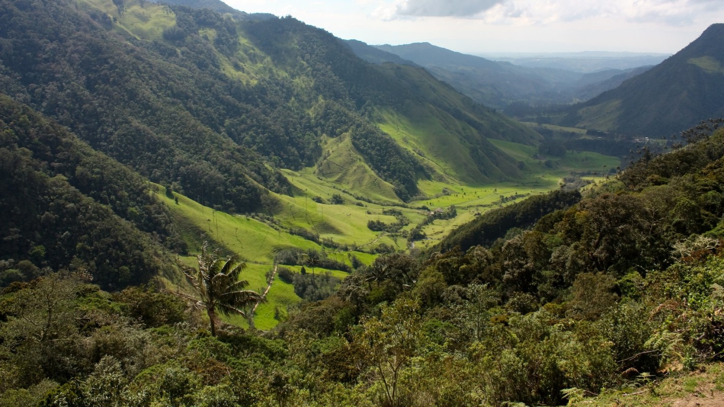 The area is critical to the overall health of the planet.
