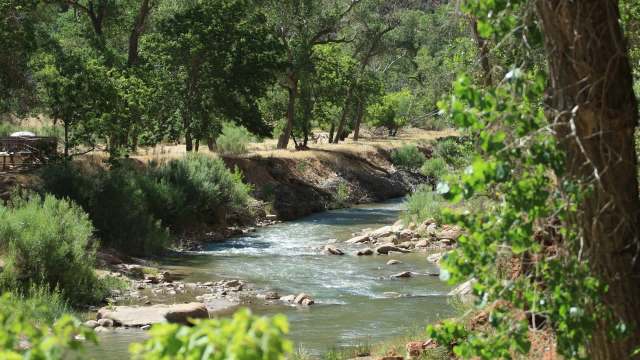 "Many locals had never seen water in this part of the Colorado River before."