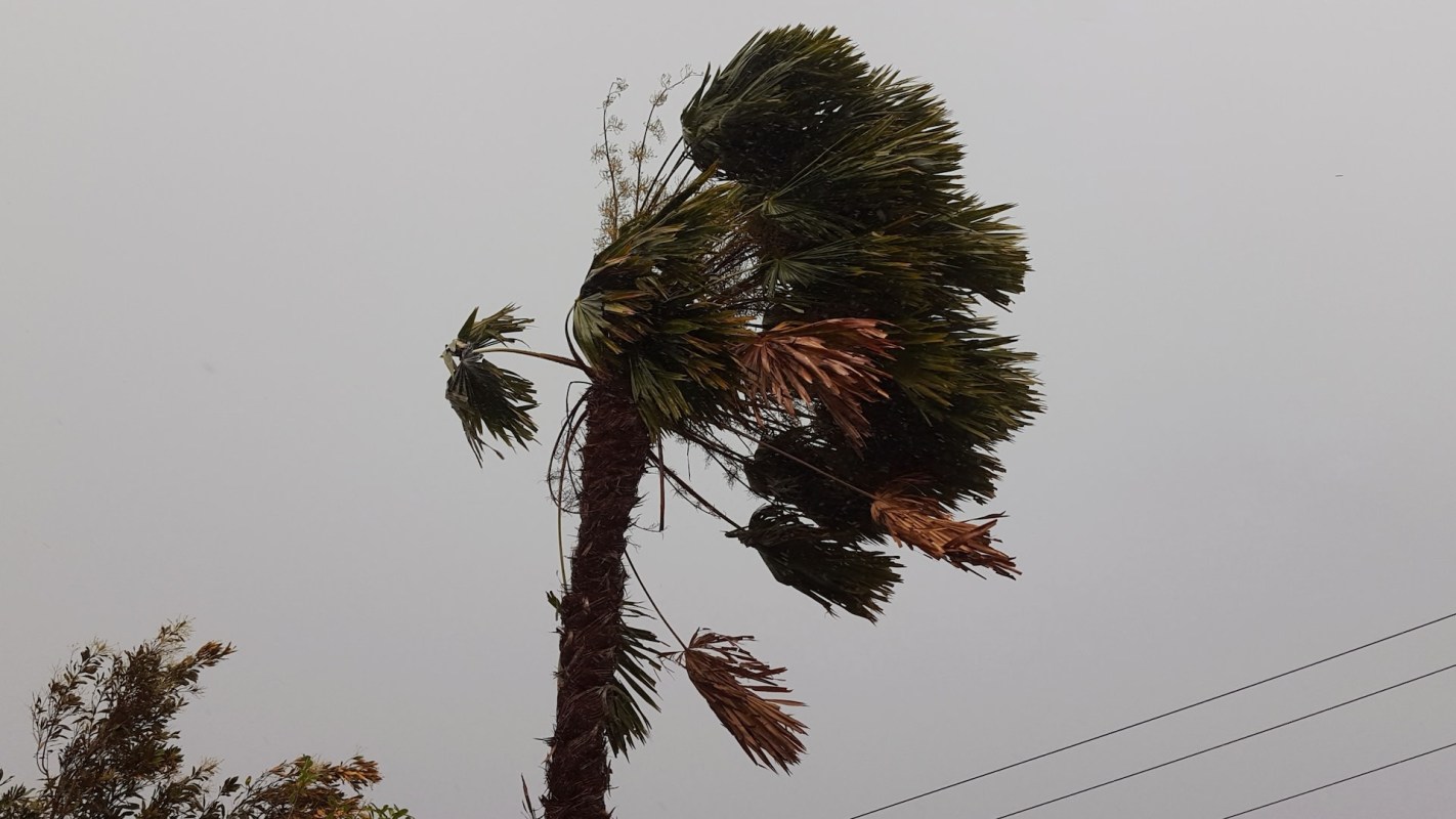 Farmers reported at least $11 million in damages.