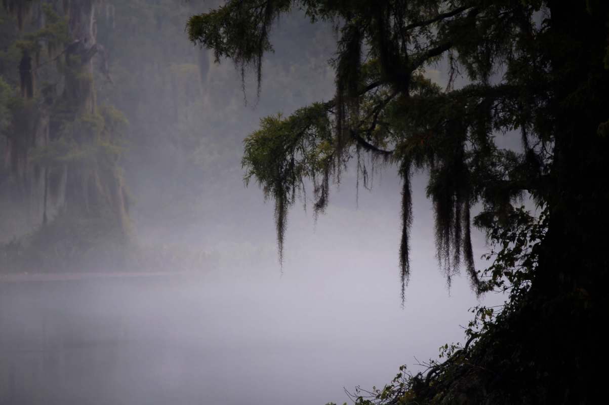 Many Florida residents complained about the issue causing a lack of visibility.