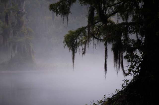 Many Florida residents complained about the issue causing a lack of visibility.