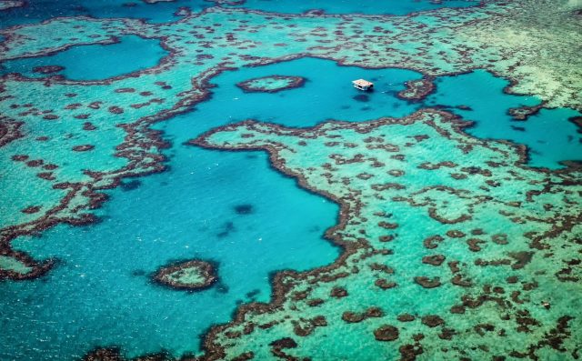 "This is a clear example of how protected areas can also benefit local communities."