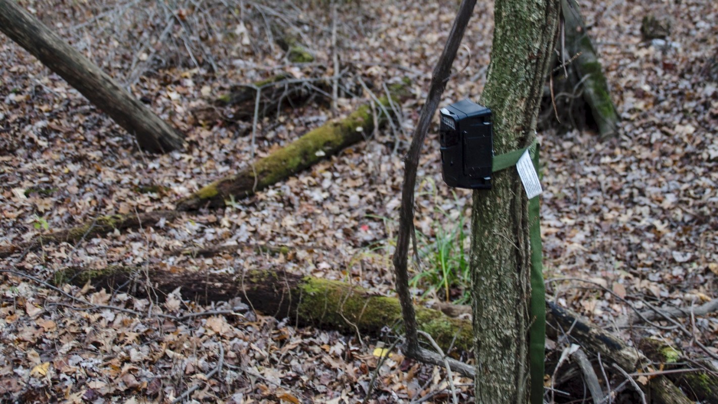 "This discovery is both surprising and exciting."