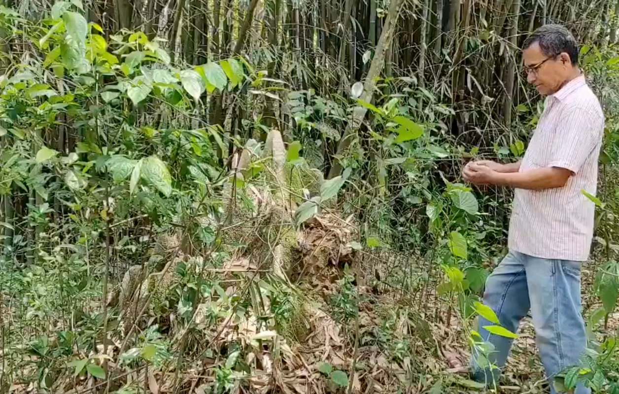 Students from nearby colleges visit the property for biodiversity studies.