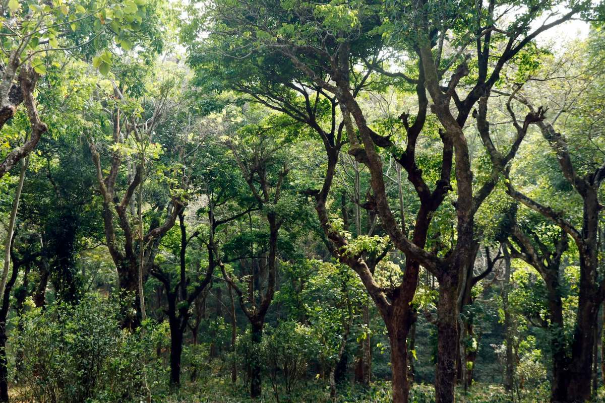 "Such comprehensive policy measures are essential to preserve ecological balance."