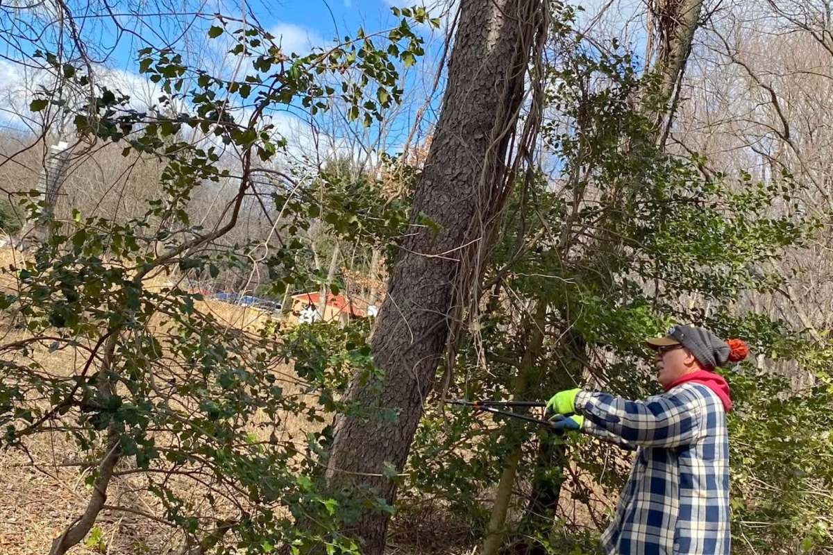 Nearly 4,000 pounds of 30 species were cleared.