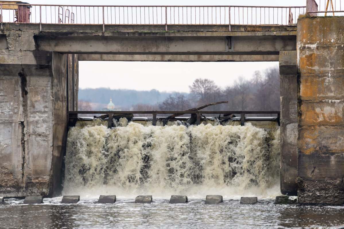 "We didn't think [they] would move so much."