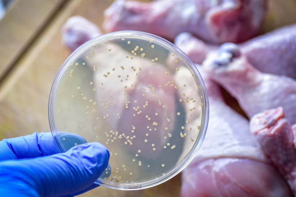 The study provides a valuable tool for predicting future risks.
