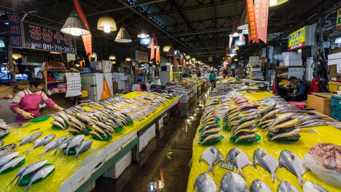 The price of "Gold squid" is now over 54% higher than the historical average.