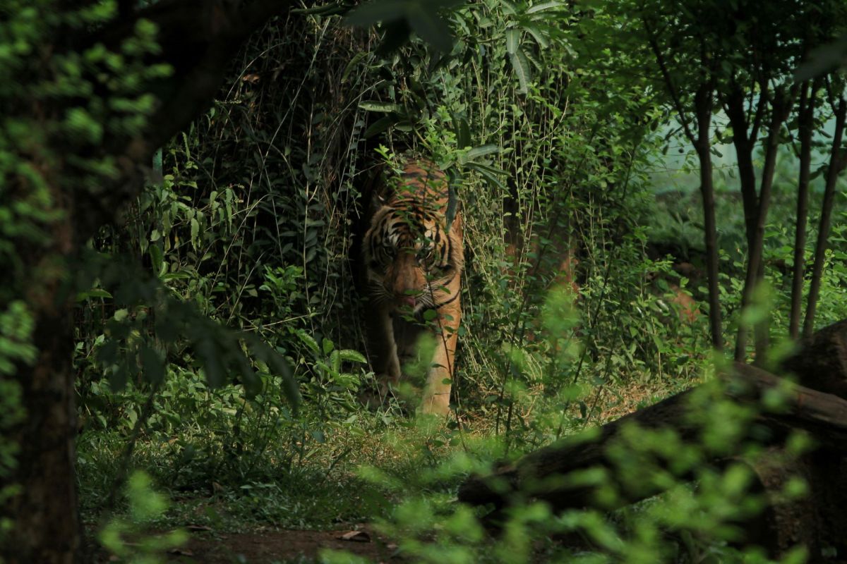 "This is what modern exploration should be about."