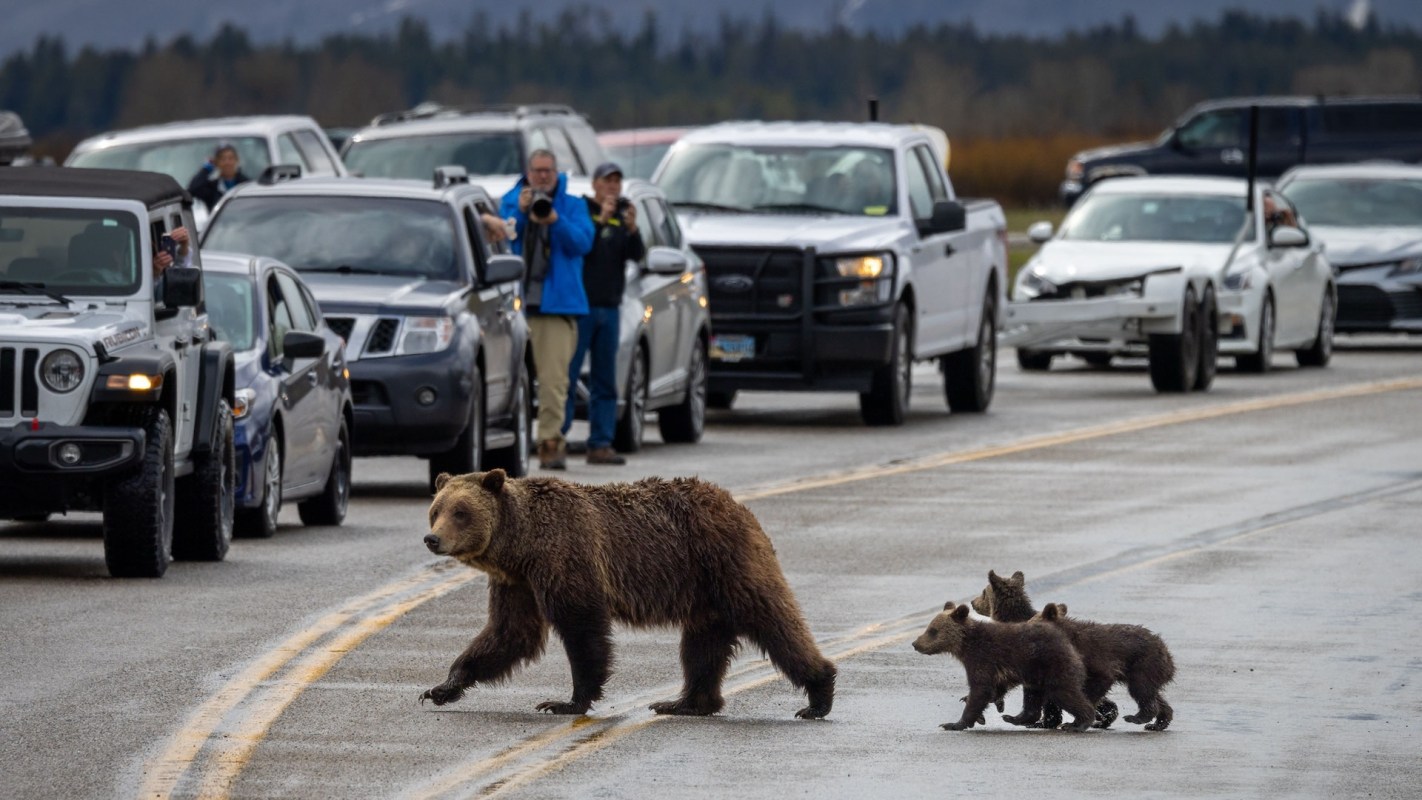 "Maybe there should be a ‘Common Sense’ test before being allowed in the national parks."