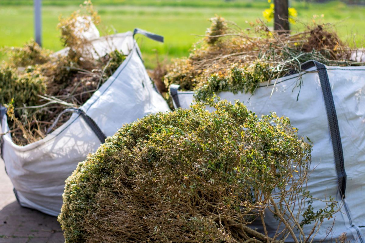 They synthesized materials that could be used in antidepressant and hay fever drugs.