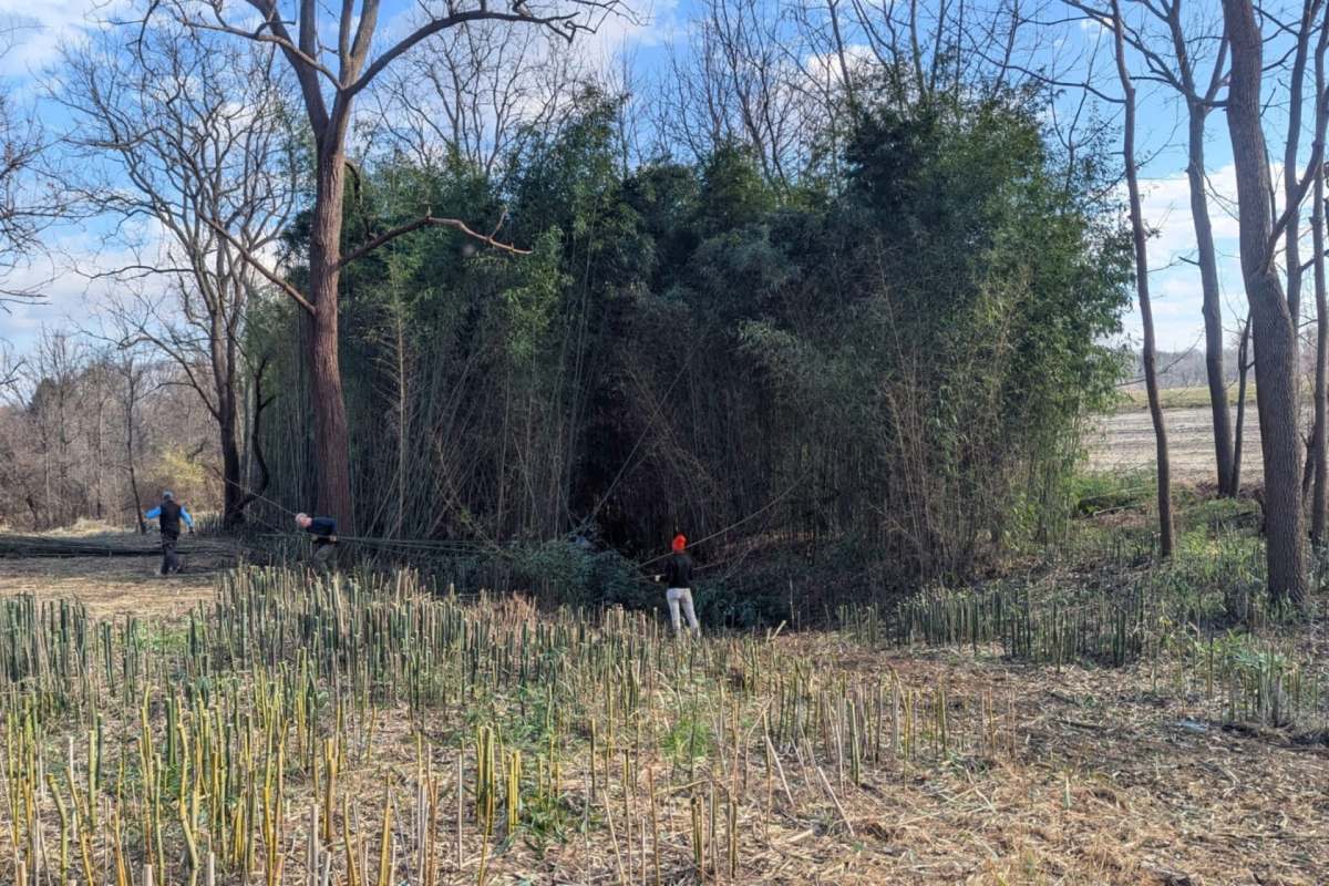 “Natural Lands volunteers are amazing!”