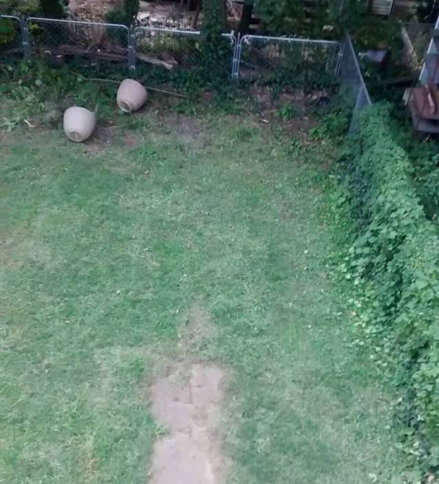 "Enjoy the surprises your garden brings."