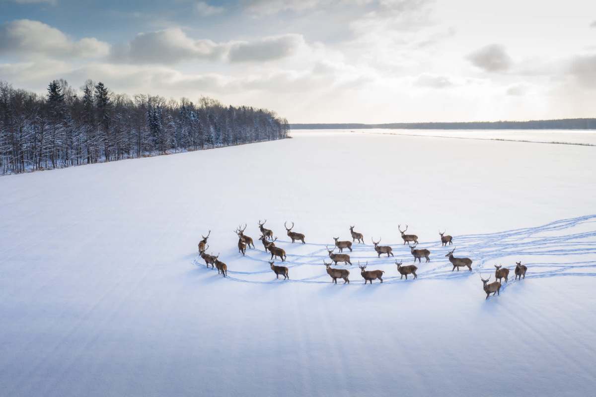 The research is currently happening far north of where you might expect.