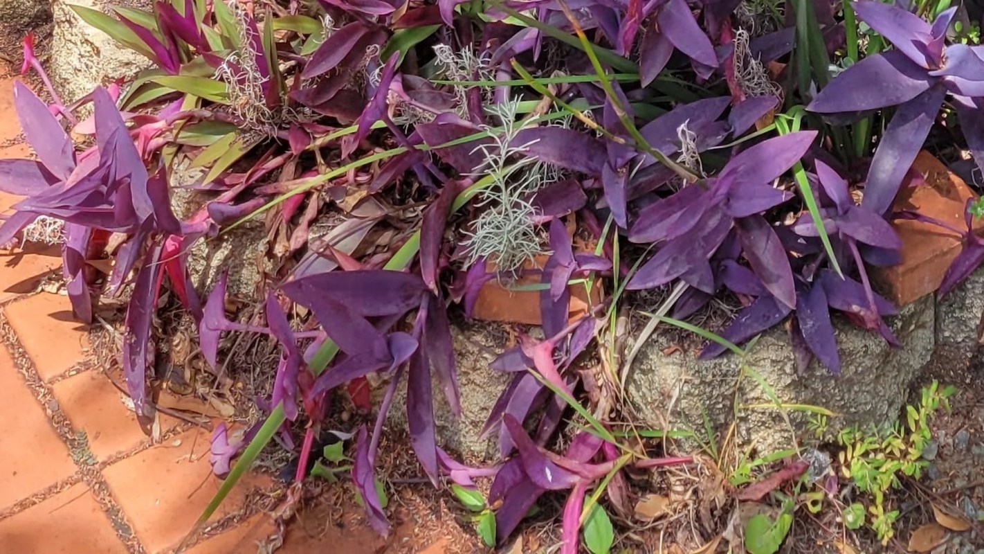 "I love the colors and textures!"