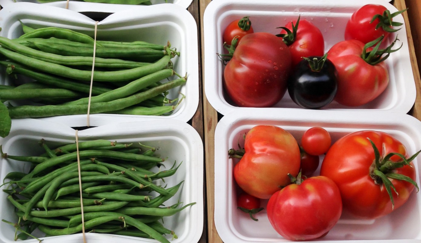 "We can evaluate biodegradability rates in the lab and conduct large-scale field tests."