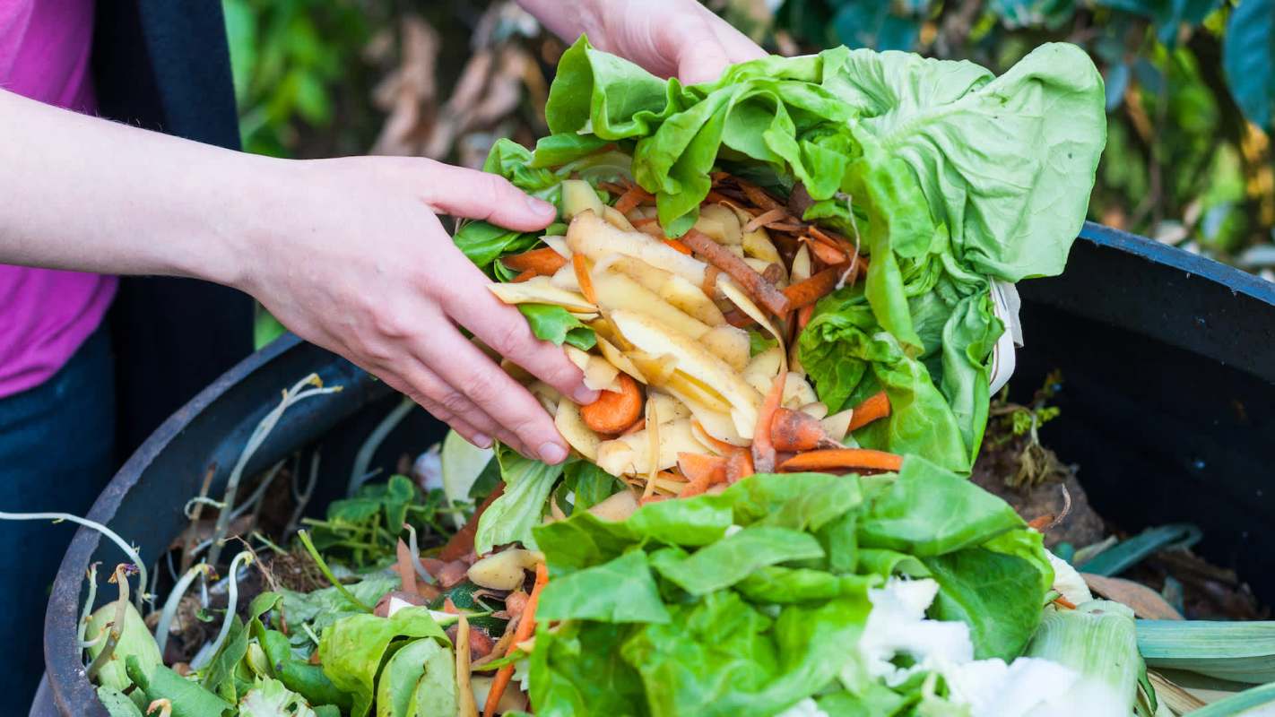 Residents managed to divert 11,000 pounds of food waste from landfills.