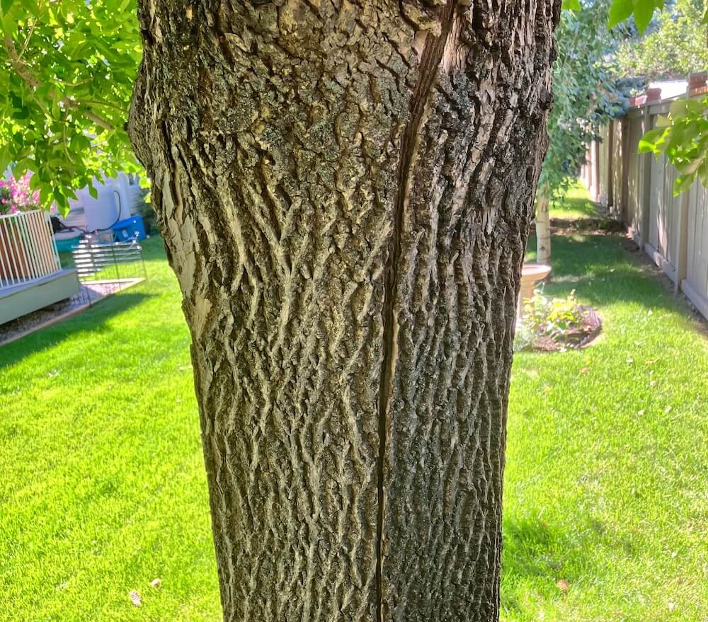 "It's not in the best shape, but it's still far healthier than any ... of its species I've seen in a while."