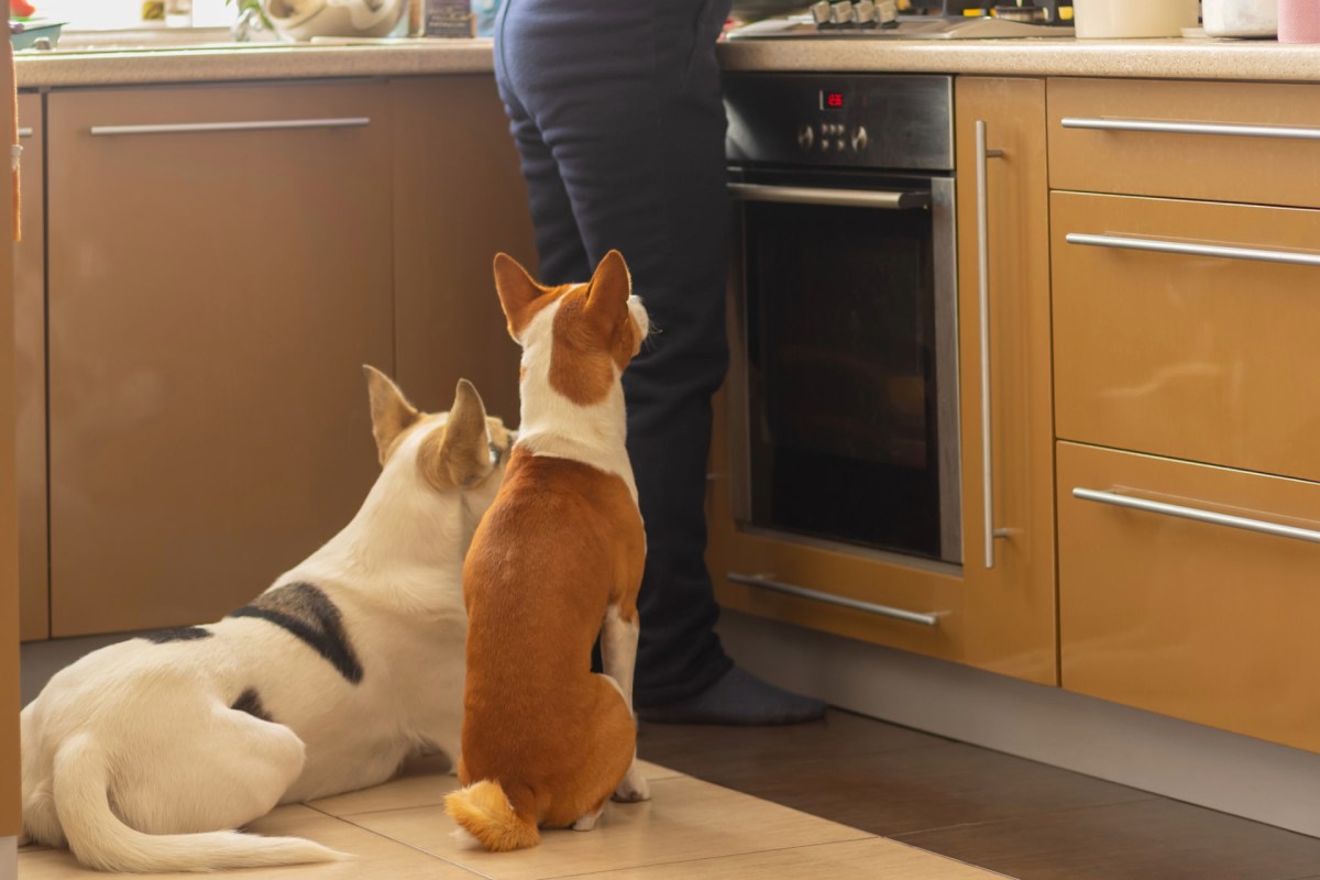 "This is why I'm very happy to have a full induction cooktop."
