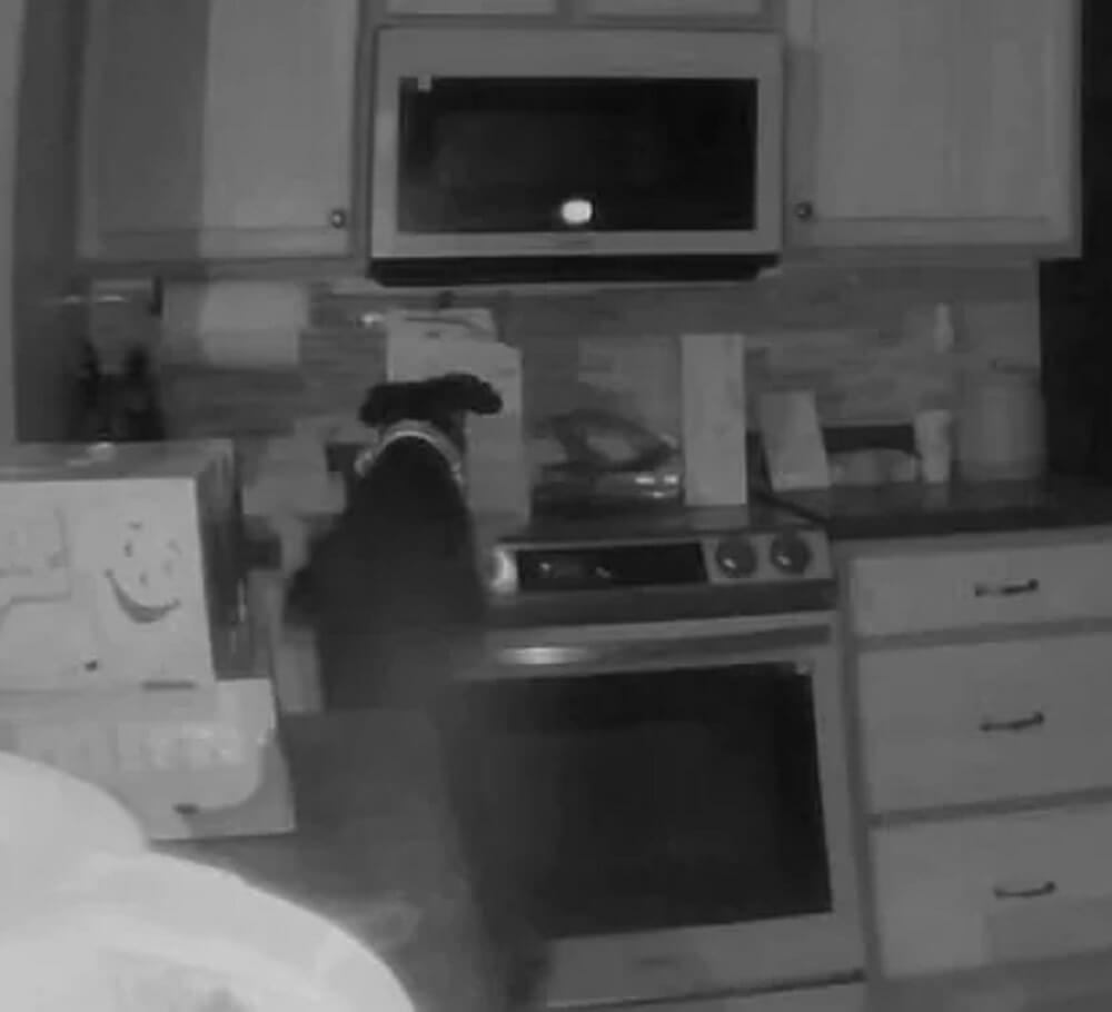 "This is why I'm very happy to have a full induction cooktop."