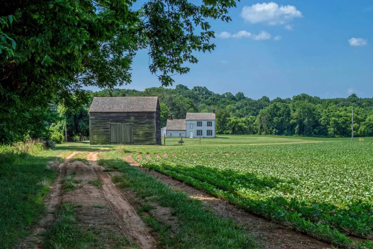 "If they illegally remove trees, can we sue to remove the easement entirely?"