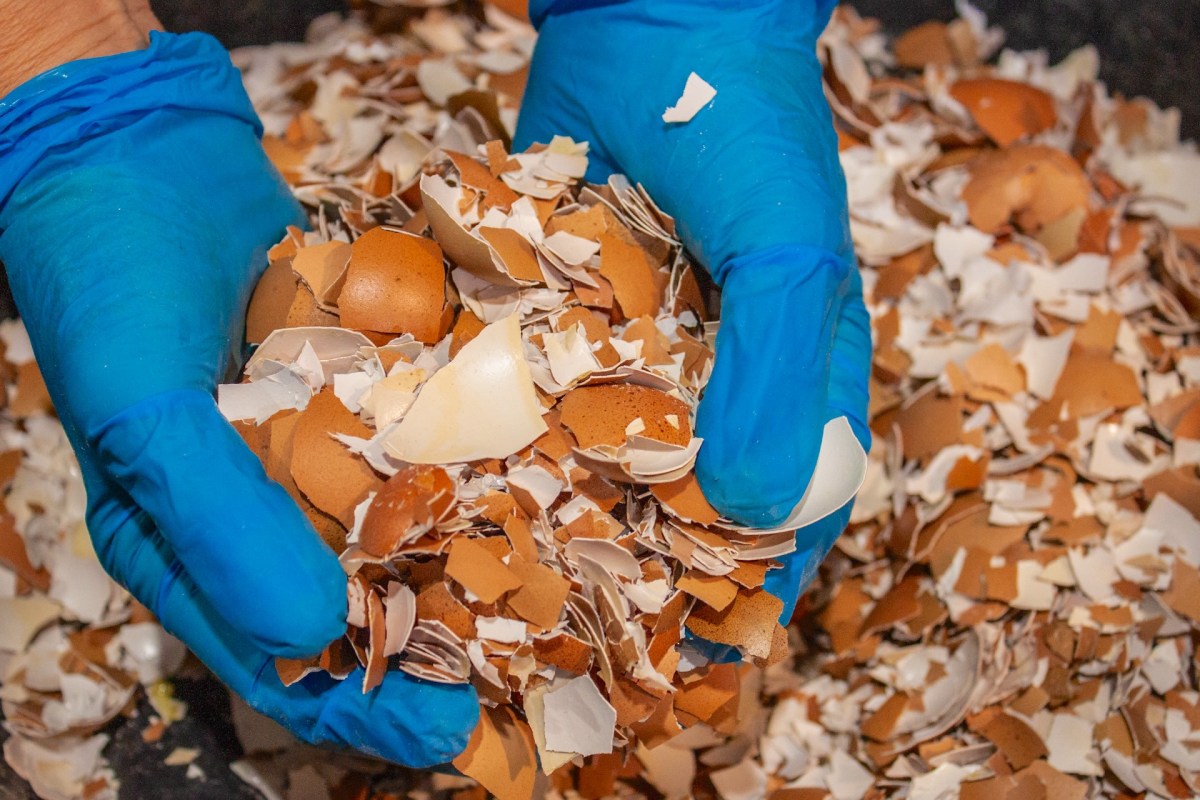 Scientists have been looking for ways to divert trash and repurpose it to create new materials.