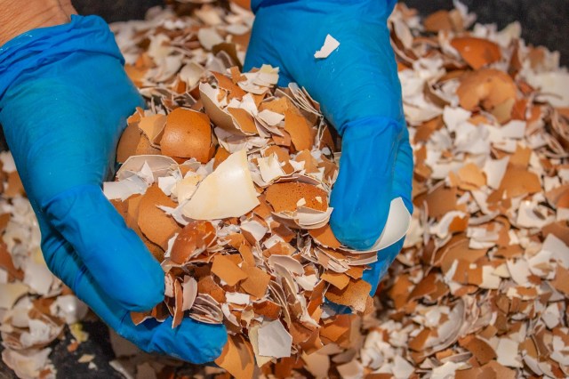 Scientists have been looking for ways to divert trash and repurpose it to create new materials.