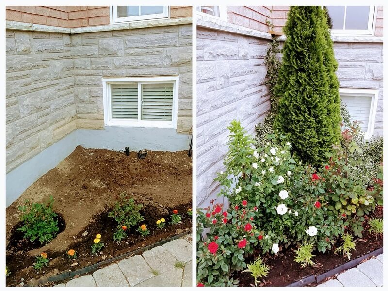 "What a beautiful little garden."