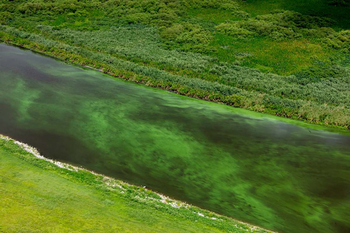 The study is significant because it offers a way to make our lakes and rivers cleaner and safer.