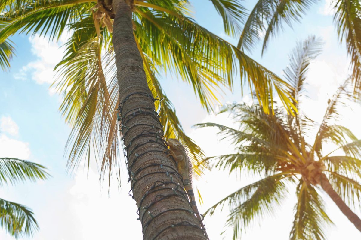 "This is life in Florida."