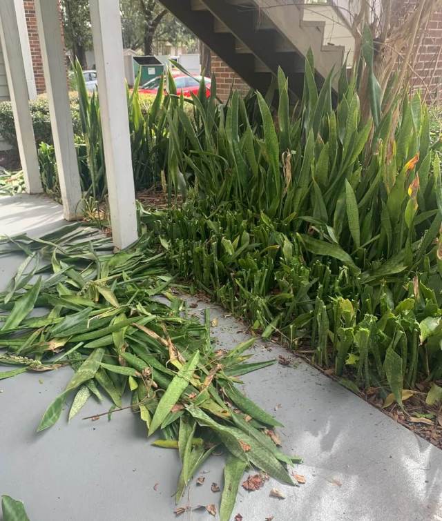 "That was very nasty of your neighbor to do that. She really had no right."