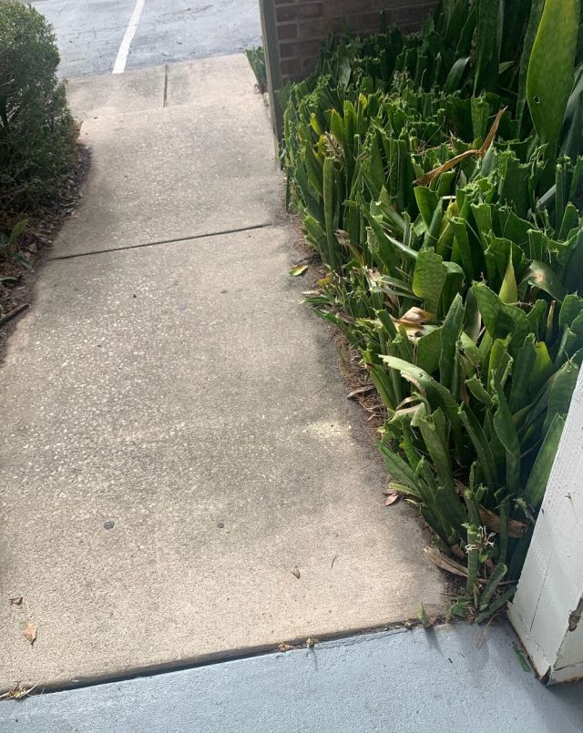 "That was very nasty of your neighbor to do that. She really had no right."