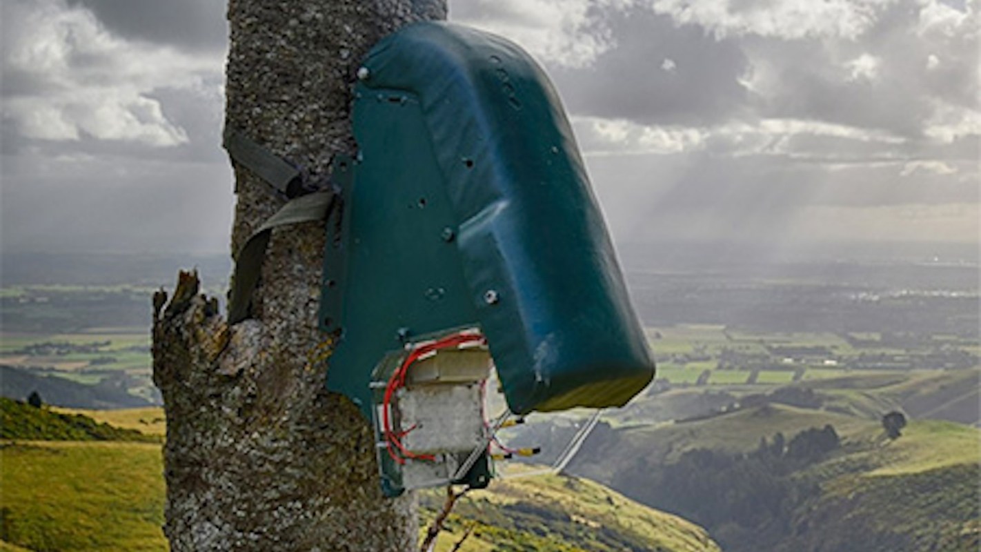 Critter Solutions wanted to create "open and inviting" traps more likely to attract animals.