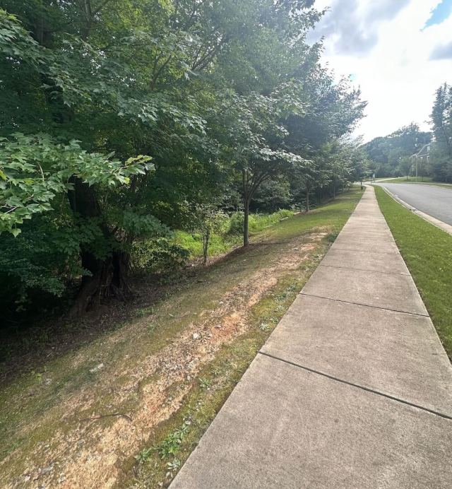 Falling trees can cause damage.