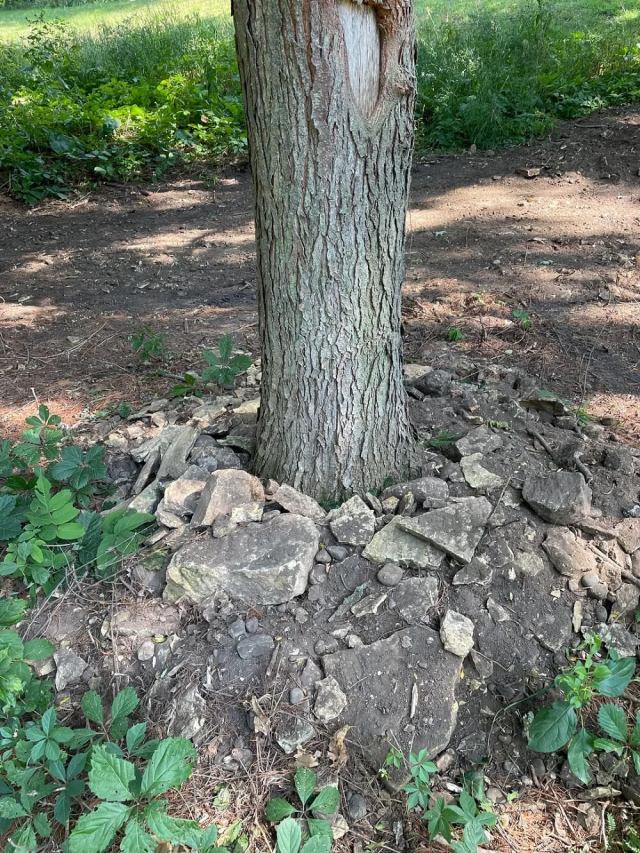 "Mulch volcanoes are out, rock volcanoes are in."