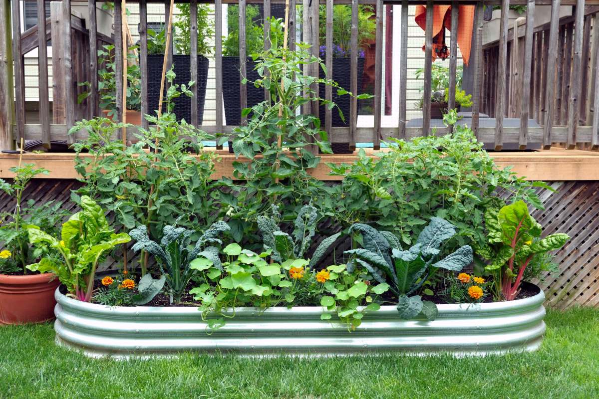 Sabotaging a garden is the same as forcing someone to lose money.
