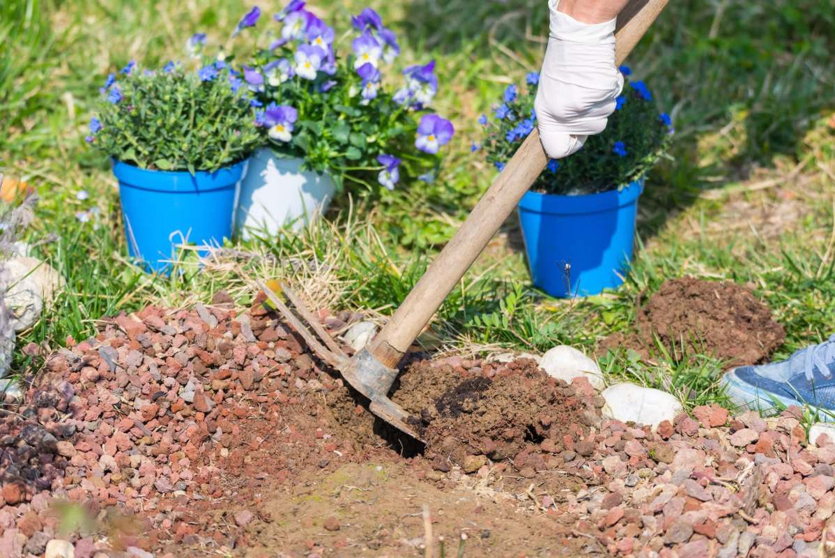 "You’ll likely find it’s easier to garden once it’s removed."