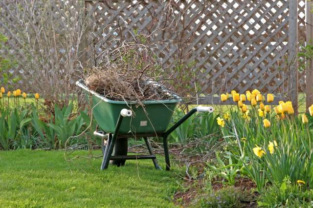 "Thank you for restoring my hope in gardening."