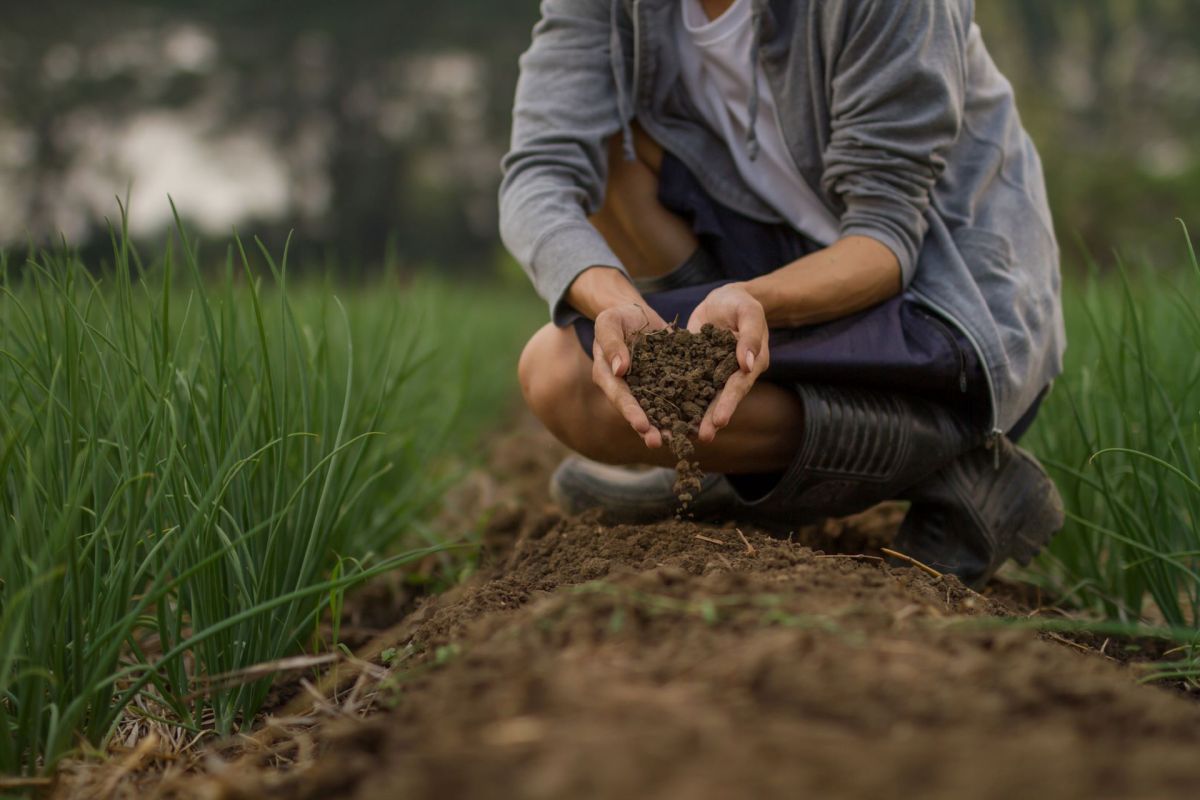 This research reveals how severe the impact can be.