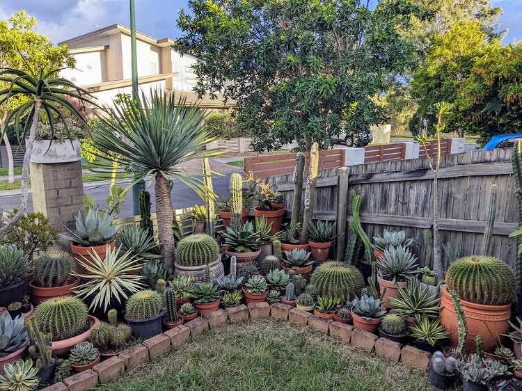 "That's one way to keep the cats out of the garden."