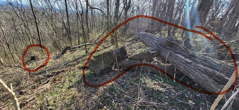 "The comments about shooting trespassers were a veiled threat."