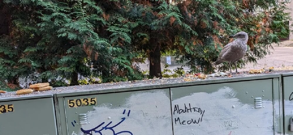 "If they don't listen, please report them to the city."